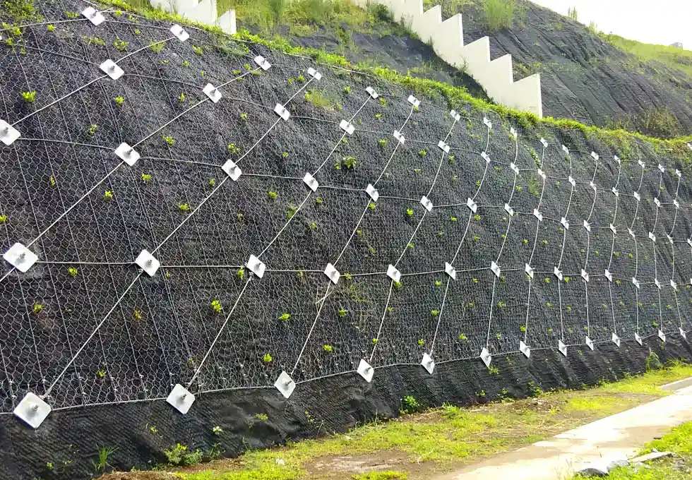 PGA Earth Structure Solutions Project 6